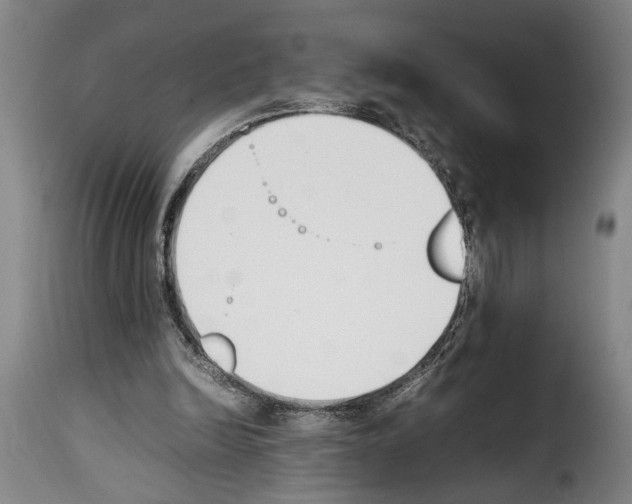 X0000114230246200911201116