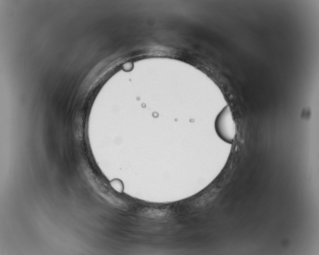 X0000114230247200911201116