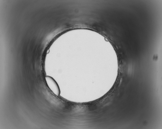 X0000114230248200911201116