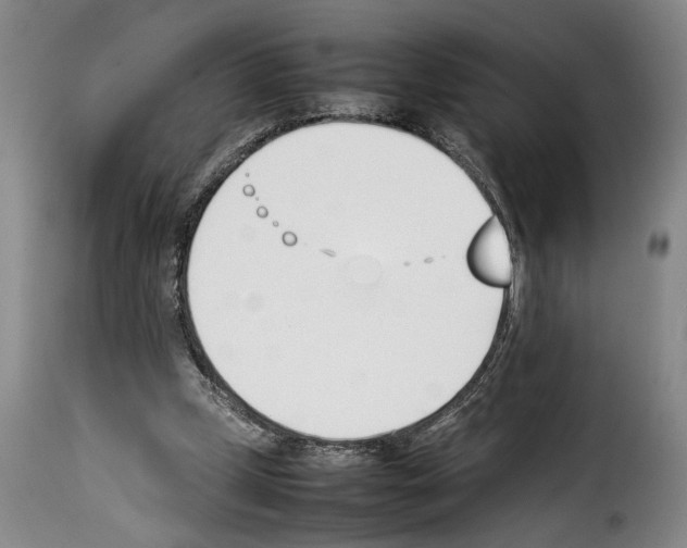 X0000114230249200911201116