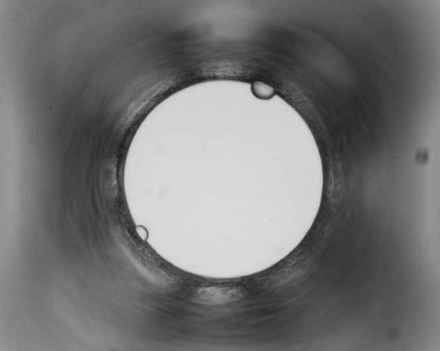 X0000114230251200911201116