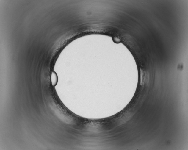 X0000114230252200911201116
