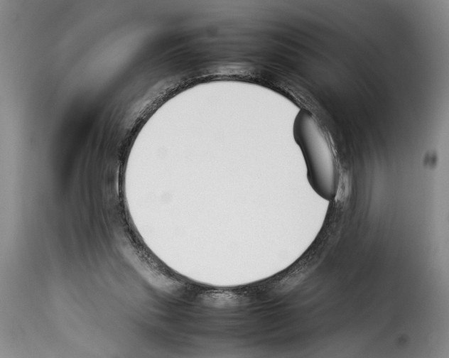 X0000114230253200911201116