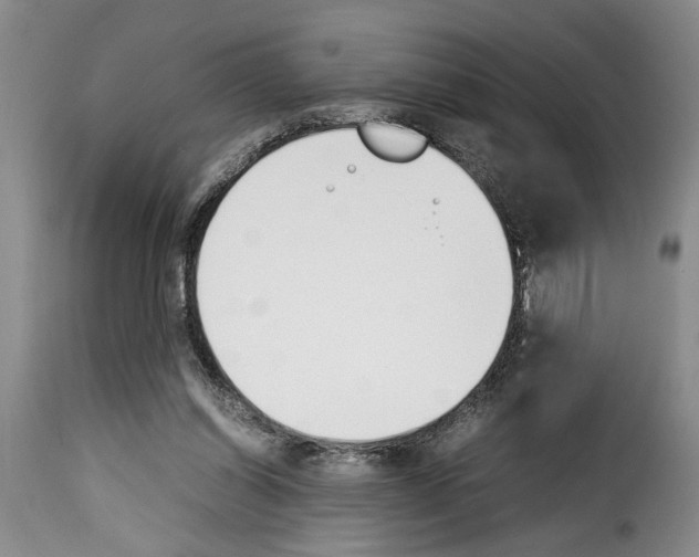 X0000114230254200911201116