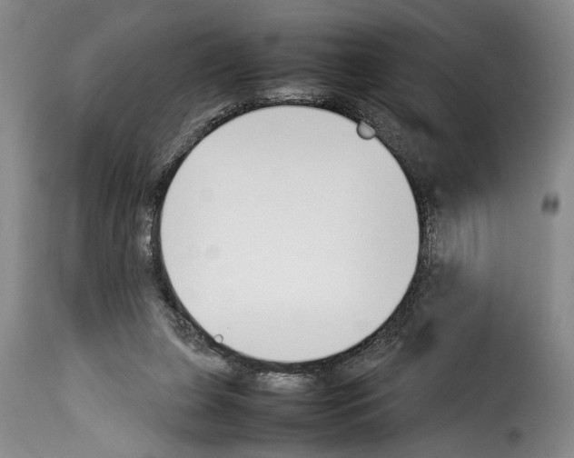 X0000114230255200911201116