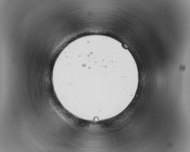 X0000114230256200911201116