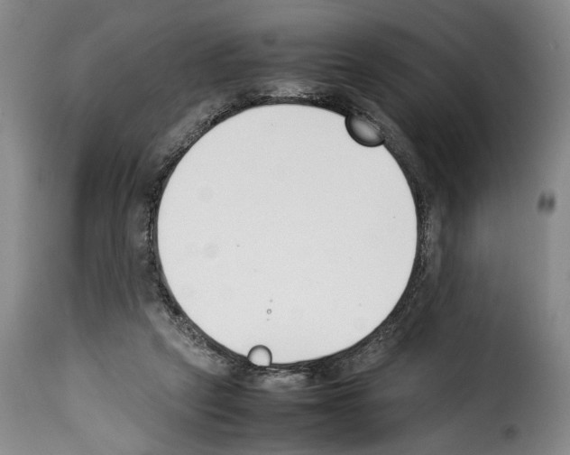 X0000114230257200911201116
