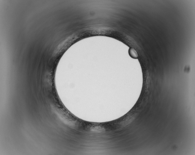 X0000114230258200911201116