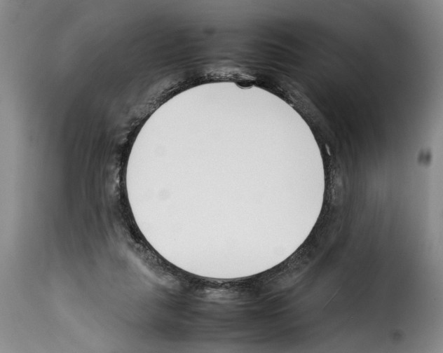 X0000114230259200911201116