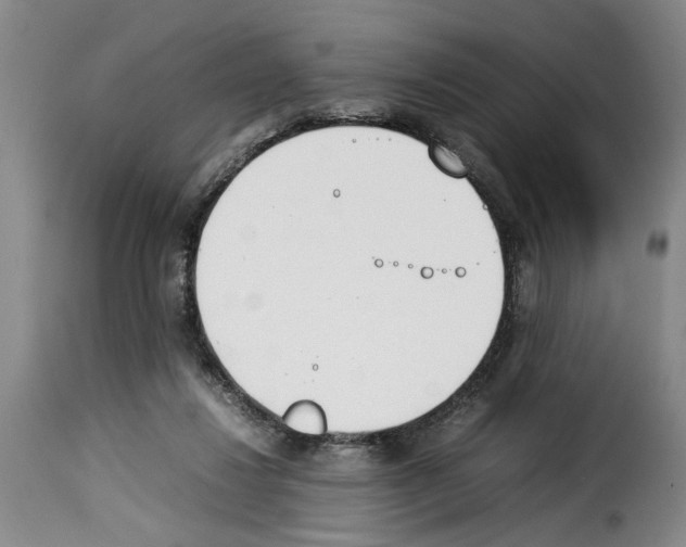 X0000114230260200911201116
