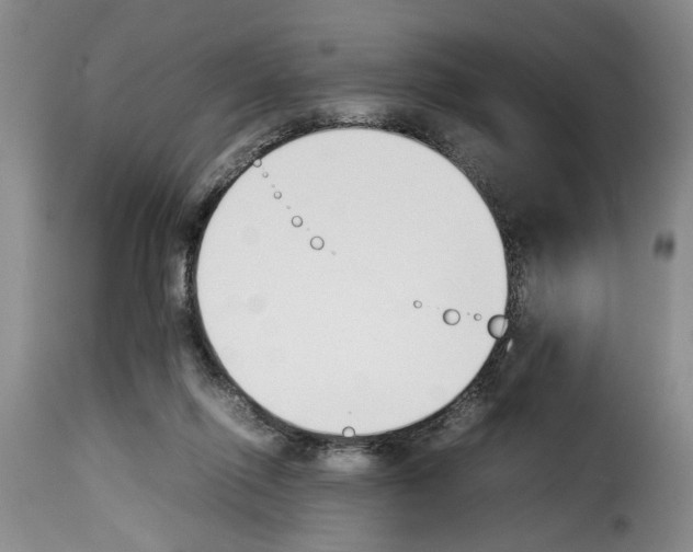 X0000114230262200911201116