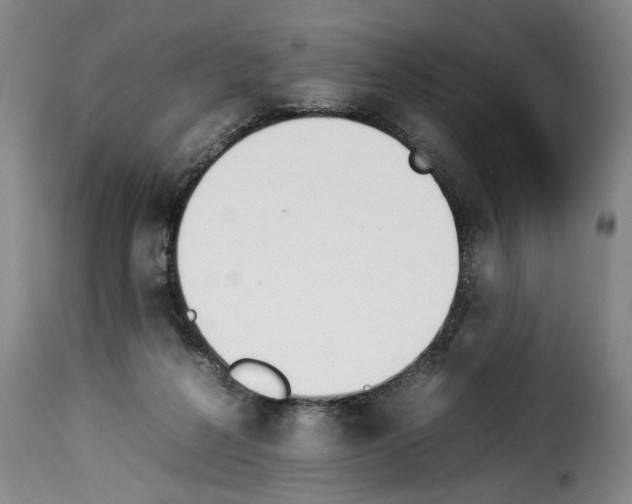 X0000114230264200911201116