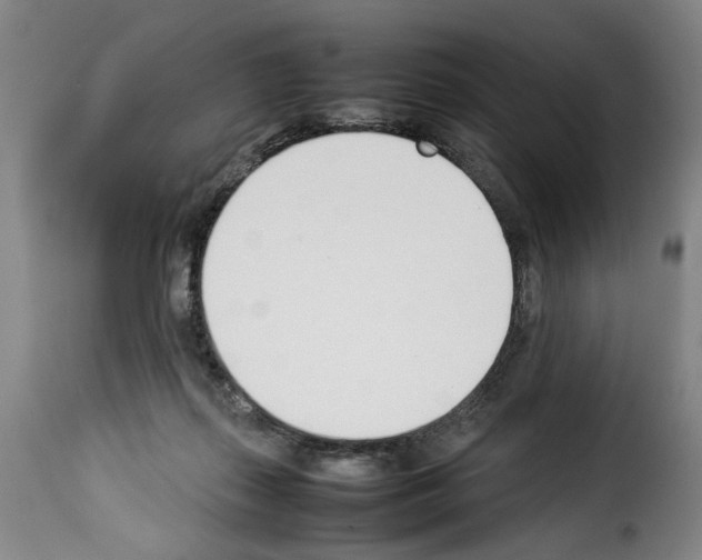 X0000114230267200911201116