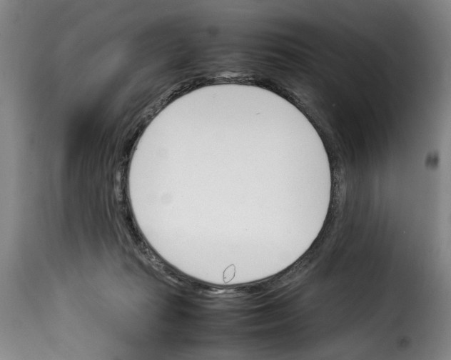 X0000114230269200911201117