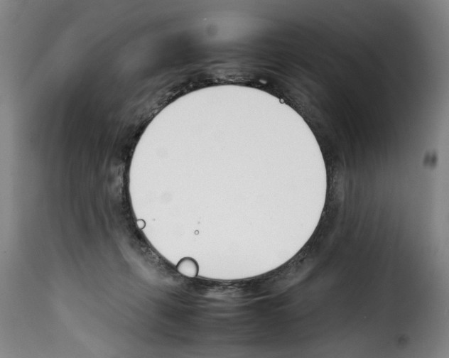 X0000114230271200911201117
