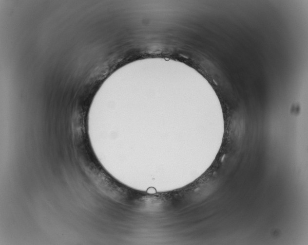 X0000114230272200911201117