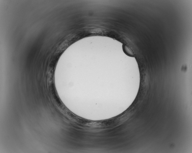 X0000114230273200911201117