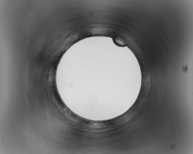 X0000114230277200911201117
