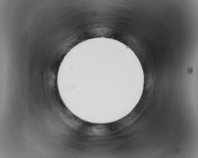X0000114230279200911201117