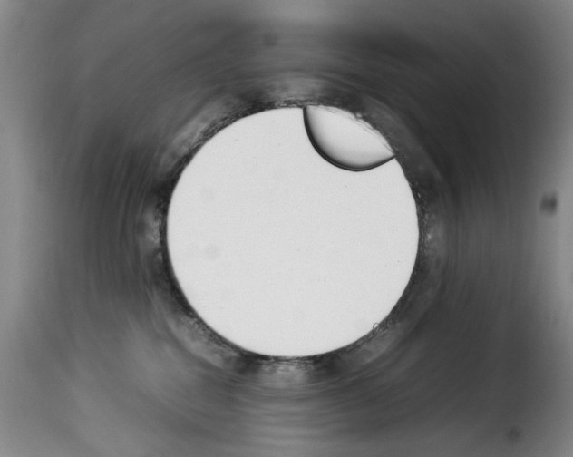 X0000114230282200911201117