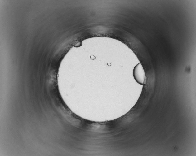 X0000114230284200911201117