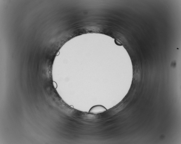 X0000114230285200911201117