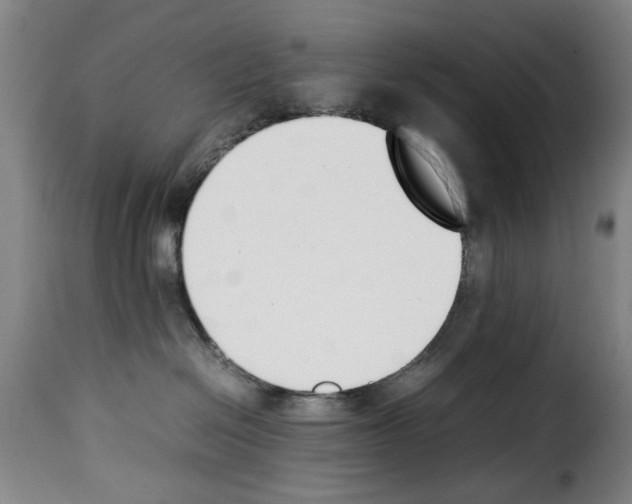 X0000114230286200911201117
