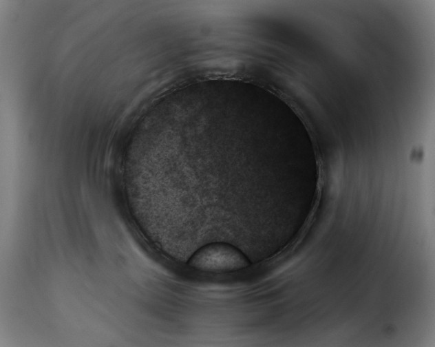 X0000114230287200911201117