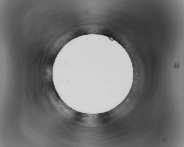 X0000114230288200911201117