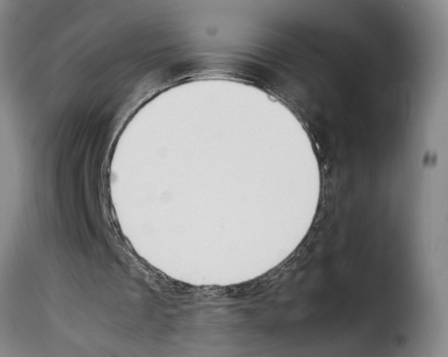 X0000114230289200911201116