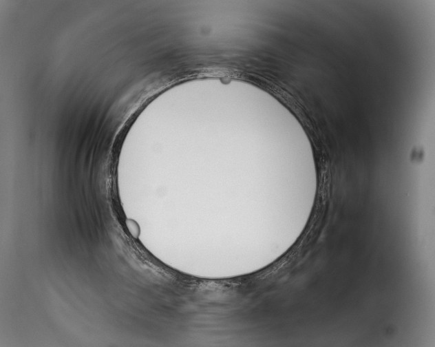 X0000114230290200911201116