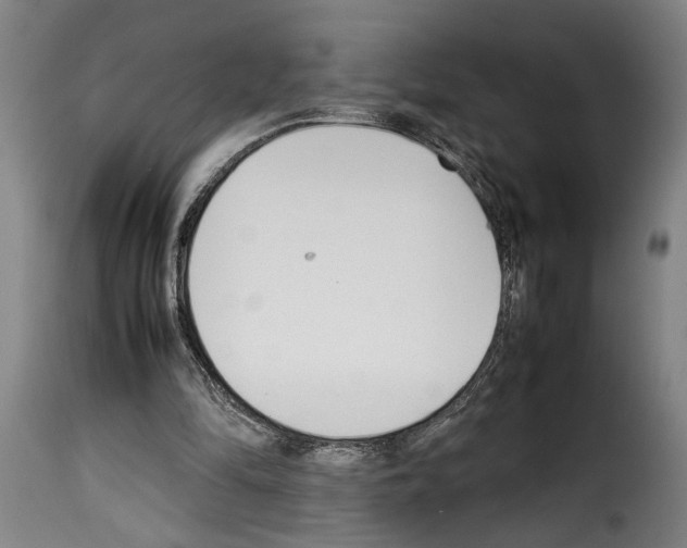 X0000114230294200911201116