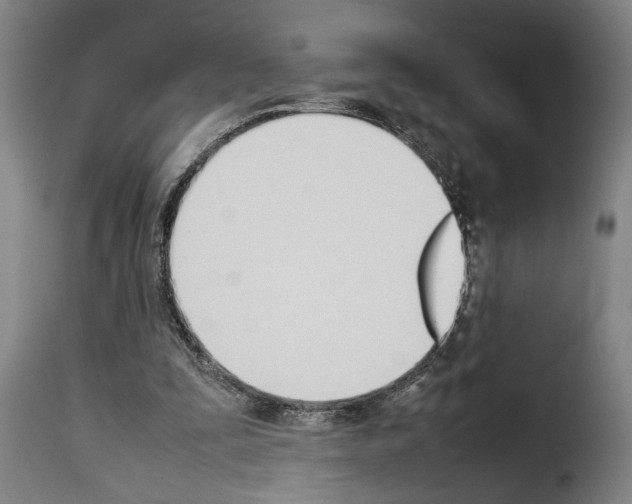 X0000114230295200911201116