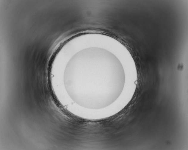 X0000114230296200911201116