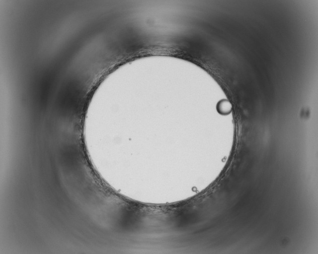 X0000114230297200911201116