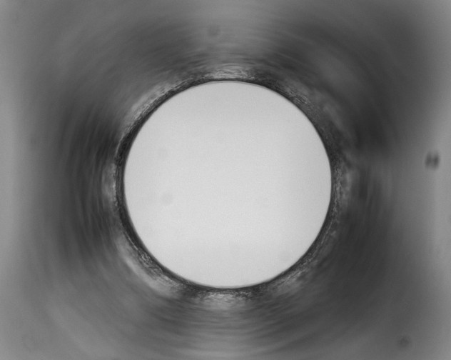 X0000114230298200911201116