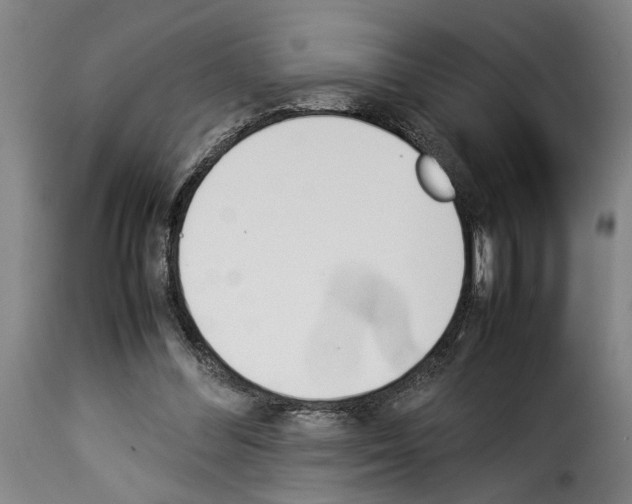 X0000114230300200911201116