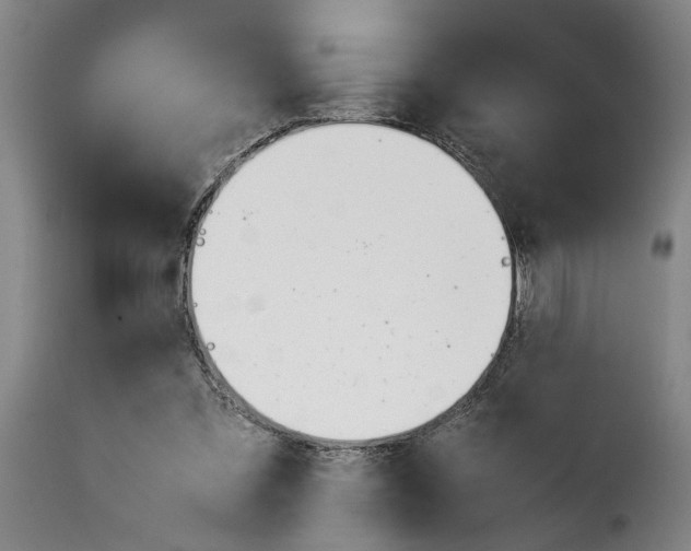 X0000114230301200911201116