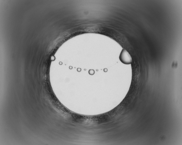 X0000114230303200911201116
