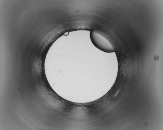X0000114230304200911201116