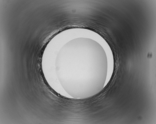 X0000114230305200911201116
