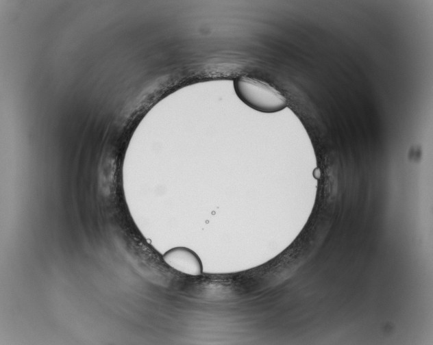 X0000114230308200911201116