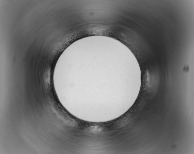 X0000114230310200911201116