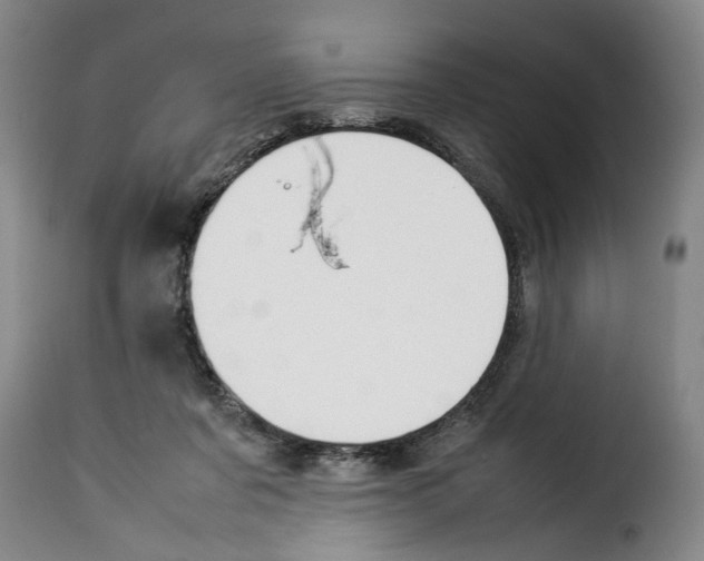 X0000114230311200911201116