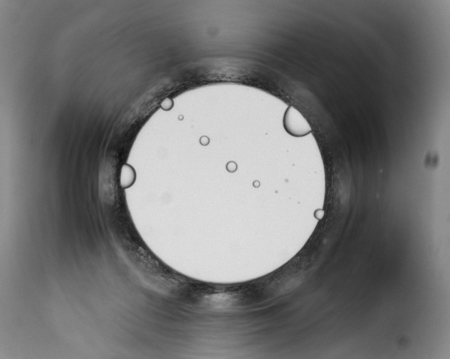 X0000114230312200911201116