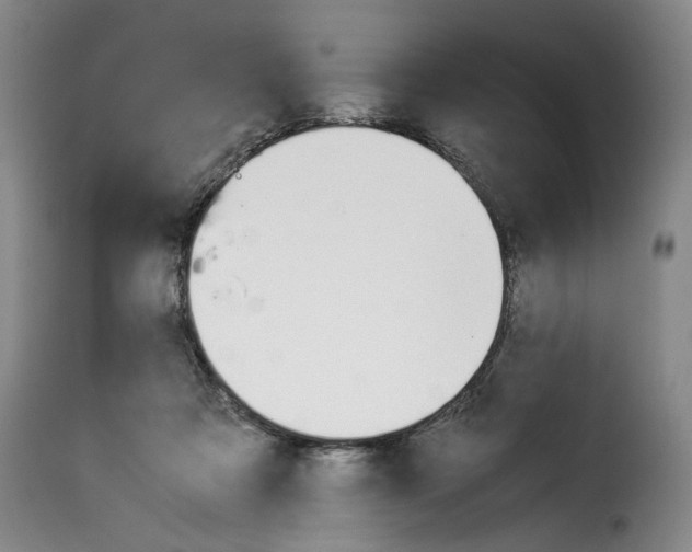 X0000114230313200911201116