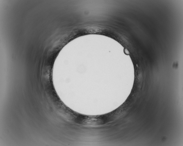 X0000114230315200911201116