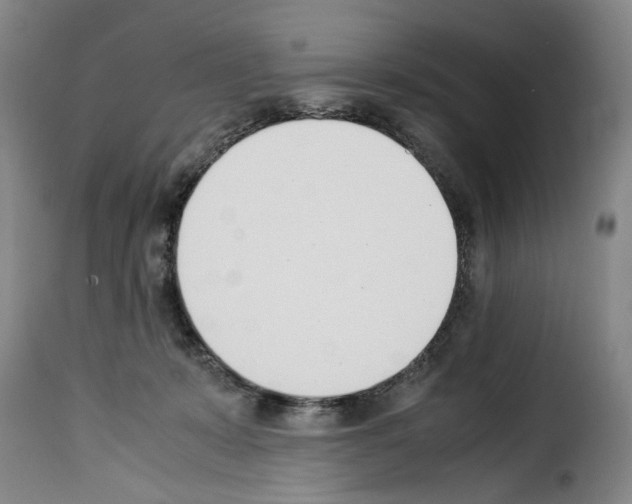 X0000114230319200911201116