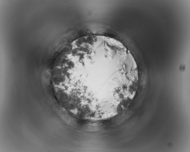X0000114230321200911201116