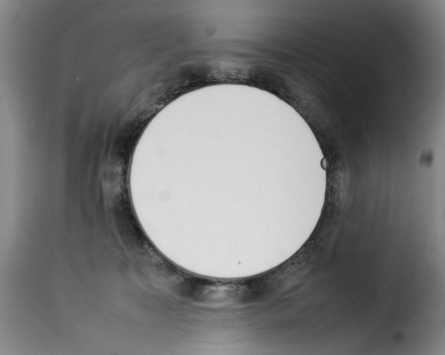 X0000114230323200911201115